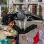 animali-turismo-wandering-wil
