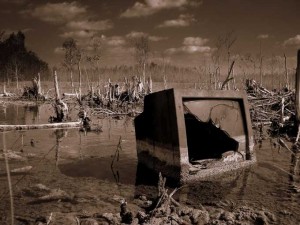 swamp-tv